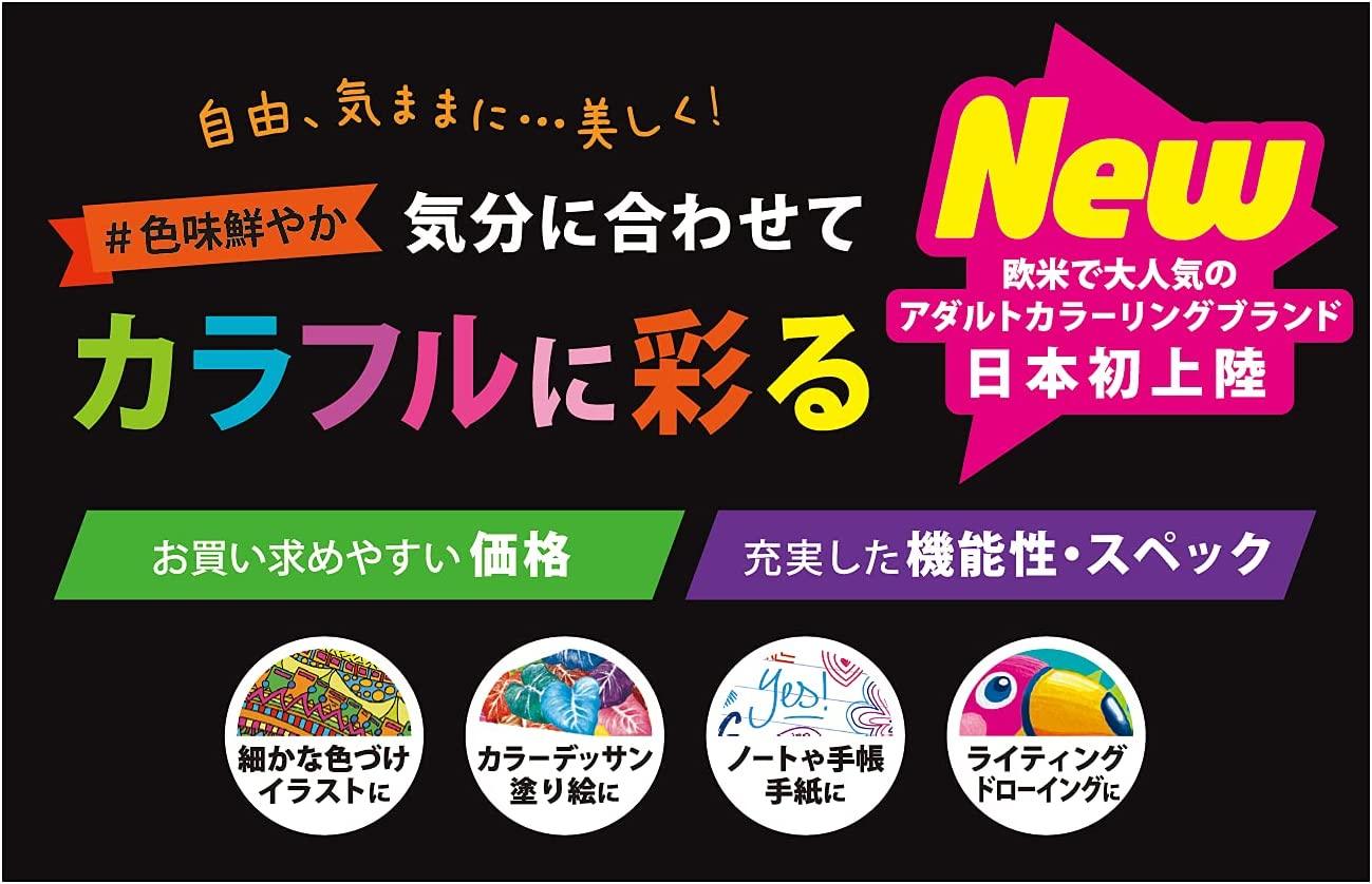 (Pre-Order) BIC Intensity Dual Chip Markers 0.7mm Water-based pen ITS-DUTCMPK12 - CHL-STORE