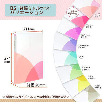 (Pre-Order) Plus pasty loose leaf binder B5-S FC-800PR - CHL-STORE
