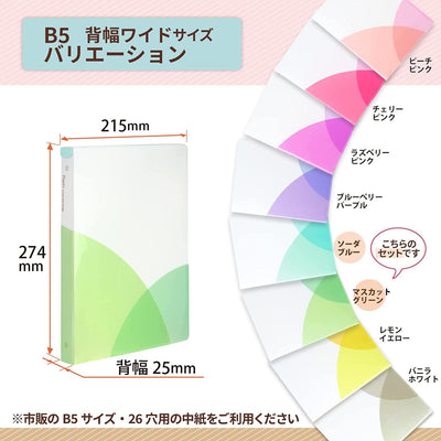 (Pre-Order) Plus pasty loose leaf binder B5-S FC-810PR - CHL-STORE