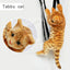 Cat backpack Super cute simulated cat stuffed toy backpack Direct delivery from Japan Soft touch Unique and interesting cute cat backpack for adults and children Fluffy kitten backpack