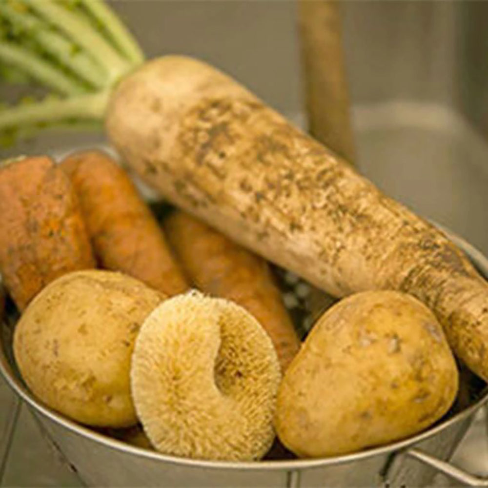 Kamenoko Tawashi Palm Fiber Scrub Brush – Made in Japan | Natural Kitchen Cleaning Tool for Vegetables, Pans, and More