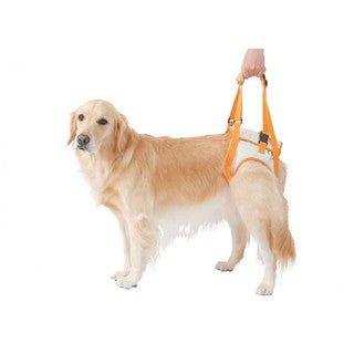Japan Petio Padio old dog care hind leg walking aid belt rehabilitation belt PP-0000002 - CHL-STORE 