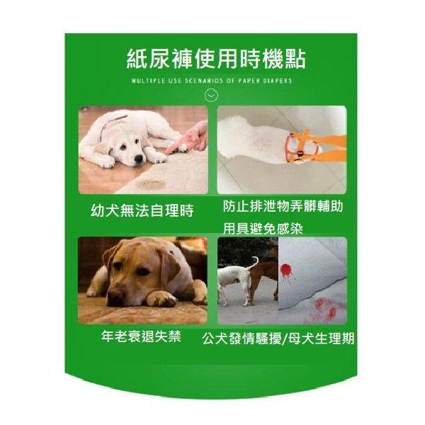 Senior dog hot sale diapers