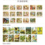 Momo Strolling in the Town Series Vintage Cloth Paper Matchbox Hand Account Decorative Stickers 60 Pieces NP-H7TAY-0349 - CHL-STORE 