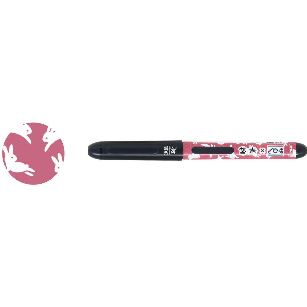 Penna istantanea in stile giapponese con inchiostro ad asciugatura rapida e  pennello – CHL-STORE