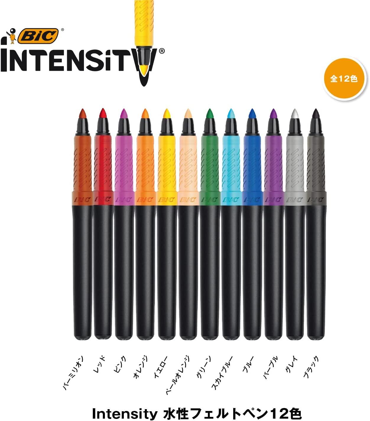 https://chl-store.com/cdn/shop/products/pre-order-bic-intensity-felt-tip-pen-0-7mm-water-based-pen-its-fepfnpk12-chl-store-2.jpg?v=1695880218&width=1445