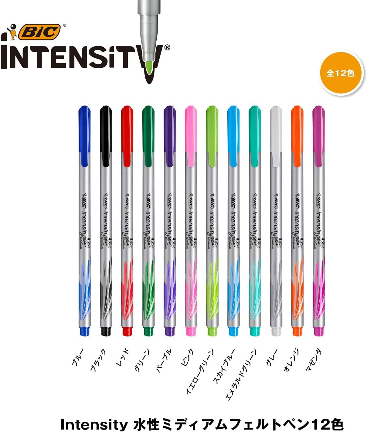 Pre-Order) BIC Intensity Medium Felt-Tip pen 0.8mm Water-based pen