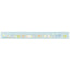 SAN-X Sumikko gurashi 17cm ruler ruler transparent Japanese joint stationery Blue - CHL-STORE 